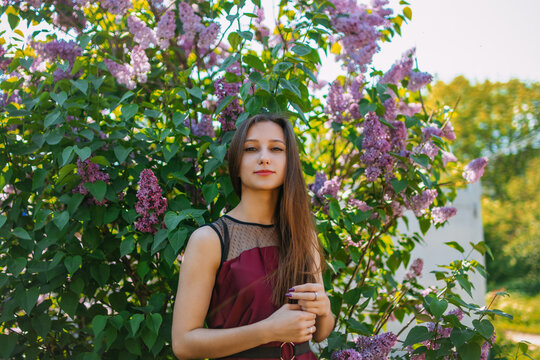 Young woman in a burgundy dress standing beside blooming lilac bush in natural spring setting