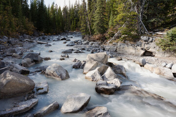 A River Flows Through the Wilderness of Banff, Canada