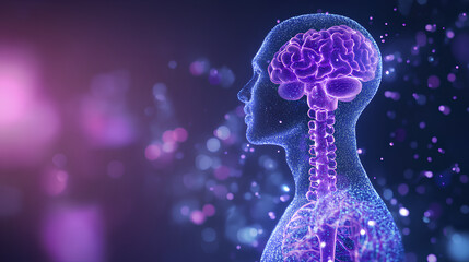 human respiratory system