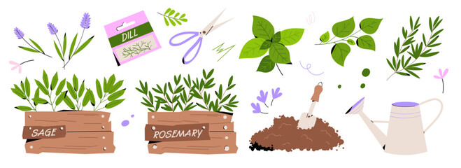 Gardening big set with herbs, seedlings, scissors, watering can, soil and leaves. Decorative rosemary and sage boxes, dill packet and basil leaves. Hand drawn vector for gardening themes