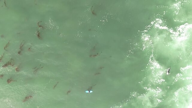 Santa Cruz California