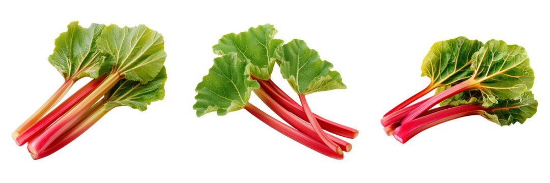 Set of Close-up of fresh rhubarb stalks and leaves displaying natural color and texture on transparent png background. Ai generated