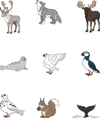 Wildlife Vector Set Illustrations