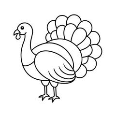 vector illustration of turkey