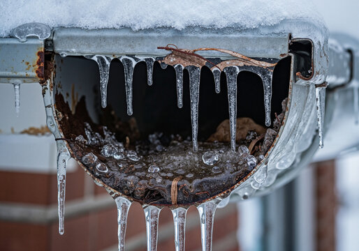 Frozen gutter with icicles and leaves during winter season   - Powered by Adobe