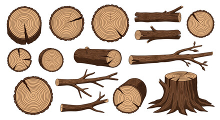 Collection of various wood logs, tree stumps, and branches with visible growth rings.