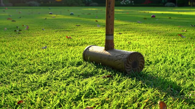 Croquet mallet resting on green grass lawn outdoors, summer leisure activity.