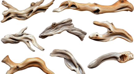 Assorted pieces of driftwood with unique shapes and textures