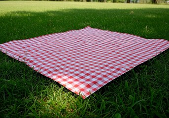 Classic red and white checkered picnic blanket on vibrant green grass invites relaxation and outdoor dining, perfect for summer promotions and lifestyle ads