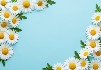 Baby blue background with daisy flowers forming a frame on the sides copy space