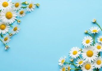 Baby blue background with daisy flowers forming a frame on the sides copy space