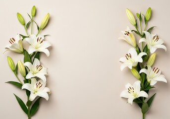 Light beige background with lily flowers forming a frame on the sides copy space