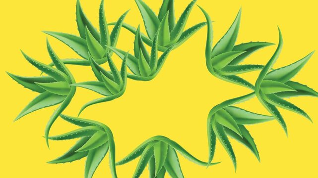 draw set of five brown flower decorate with aloe vera in oval shape on yellow screen background
