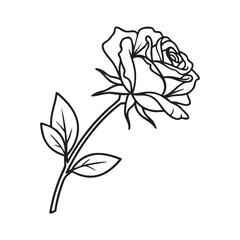 Elegant rose flower line art illustration for coloring or design projects