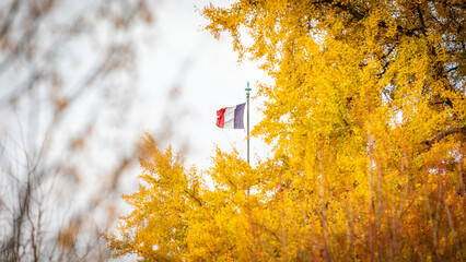 French flag and colored leaves in Strasbourg, France on November 21th 2025