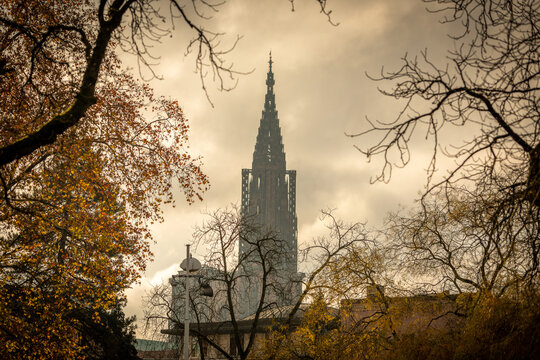Cathedral of Strasbourg in fall in Strasbourg in France on november 22th 2025