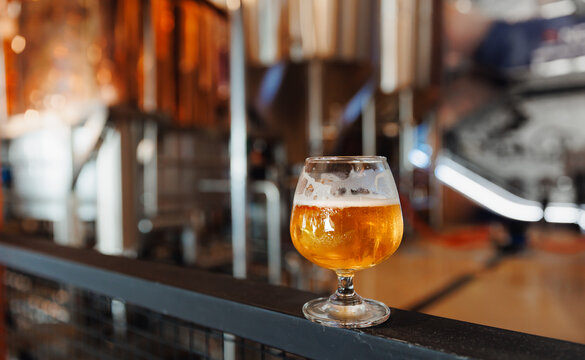 Glass of craft beer in modern brewery factory with industrial equipment in background