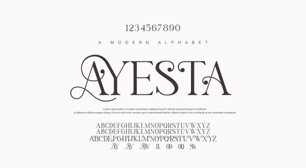 Luxury sans serif alphabet letters font and number. Classic Lettering Minimal Fashion Designs. Typography decorative wedding fonts and logo. vector illustration.