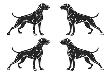 Doberman dog standing in different angles silhouette isolated on white background.