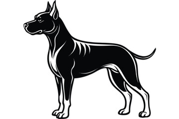 Doberman dog standing in different angles silhouette isolated on white background.