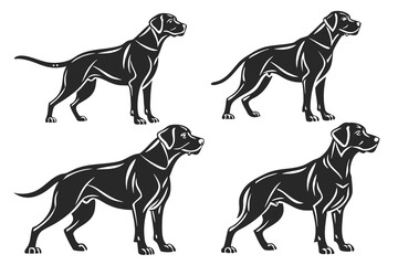 Doberman dog standing in different angles silhouette isolated on white background.