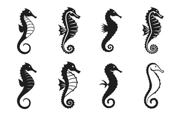 Minimalist seahorse line icon set with vibrant colors
