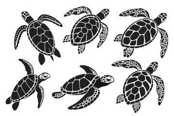 Minimal sea turtle outline icon set with vibrant colors