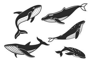 Minimalist whale line icon set with ocean elements