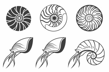 Minimalist icon set featuring nautilus shell and nautical elements