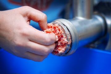 Girl's hand trying to remove stuck meat tendons from a clogged meat grinder plate