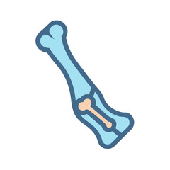 Bone anatomy illustration featuring structure and detail on black background for medical infographics