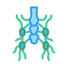 Simple vector diagram showing lymph nodes and vessels on a black background