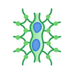 Lymph node network illustration with immune cells, germinal centers and black background