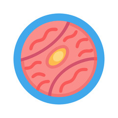 Flat illustration of eukaryotic cell with nucleus and plasma membrane structure