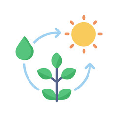 Ecosystem cycle illustration of a plant's life showing water sun and plant