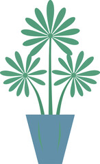 Stylized schefflera arboricola plant in pot minimalist design isolated illustration