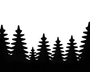 Abstract Christmas forest silhouette with wavy pine trees in white outline on black. Elegant minimalist winter design, perfect for holiday banners and festive greeting cards.