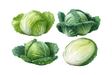 Fototapeta premium Fresh Green Cabbage Heads Isolated on White Background.