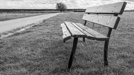 Holzbank in freier Natur auf einer Wiese am STra&szlig;enrand