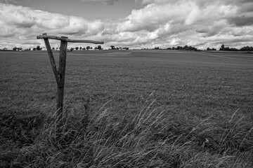 Holzvogelstange in freier Natur am Wisenrand