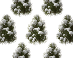 Beautiful snow-covered pine branches create a festive winter wonderland scene, perfect for Christmas holiday designs. Isolated evergreen nature elements for seasonal greetings and winter themed pro