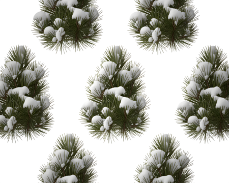 Beautiful snow-covered pine branches create a festive winter wonderland scene, perfect for Christmas holiday designs. Isolated evergreen nature elements for seasonal greetings and winter themed pro