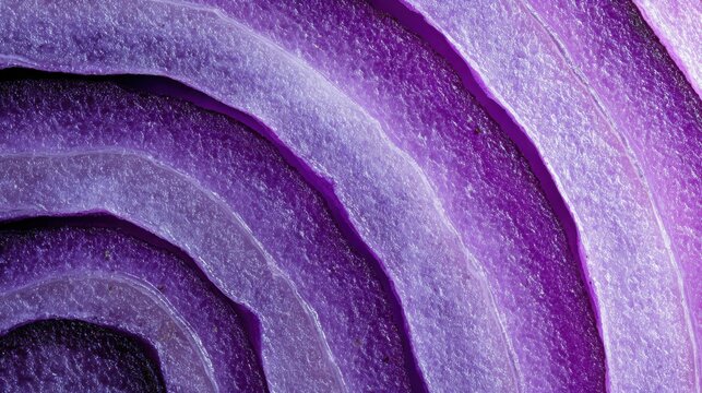 macro cross section of purple onion thin layers concentric rings geometric pattern sharp detail vivid lavender tones