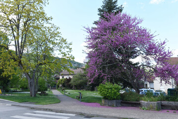  Cajarc Lot  France  parc