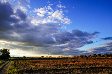 field and sky © Karol