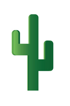 Mandacaru, cacto, sert&atilde;o, Nordeste, Brasil