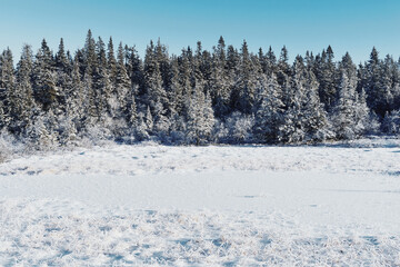 A frozen pond by Holokampen at the Torseterkampen Hill, part of the Totenåsen Hills, Norway, November 2025.
