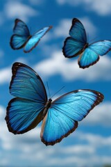 Vibrant blue butterflies fluttering against a bright sky