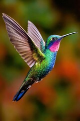 Fototapeta premium Colorful hummingbird hovering mid-air in a vibrant natural setting