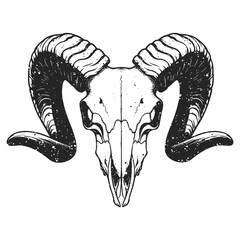 Detailed Line Art Ram Skull Illustration with Horns Animal Artwork